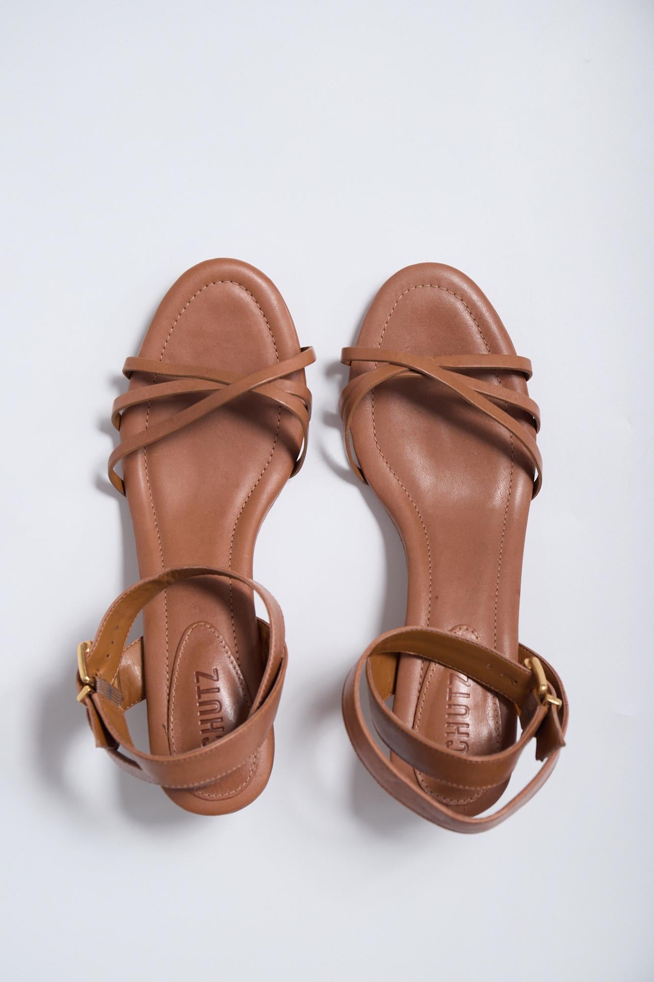 Schutz 38.5