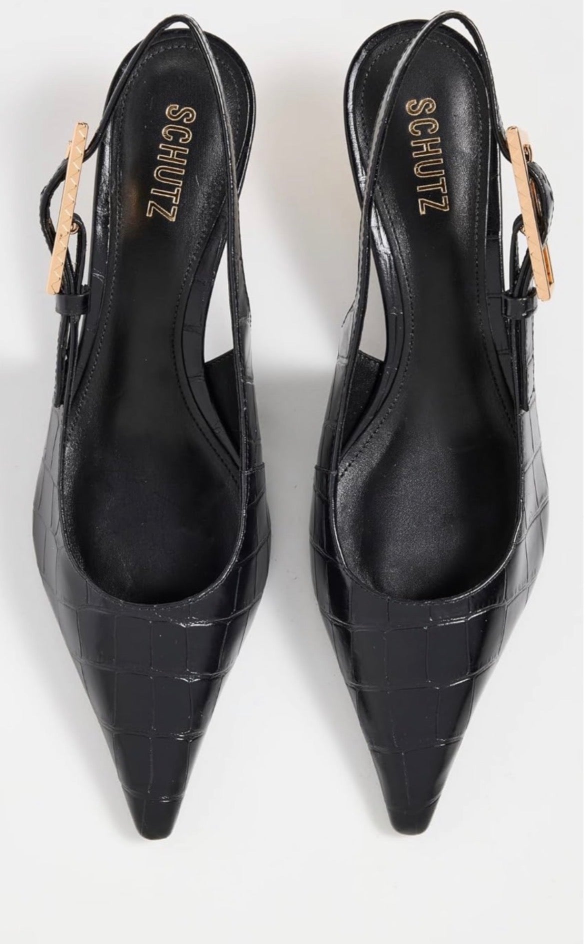 Schutz 40