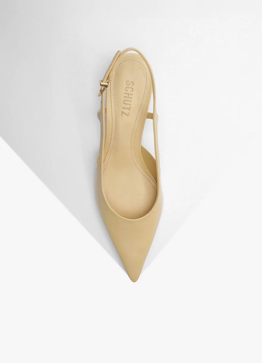 Schutz 36