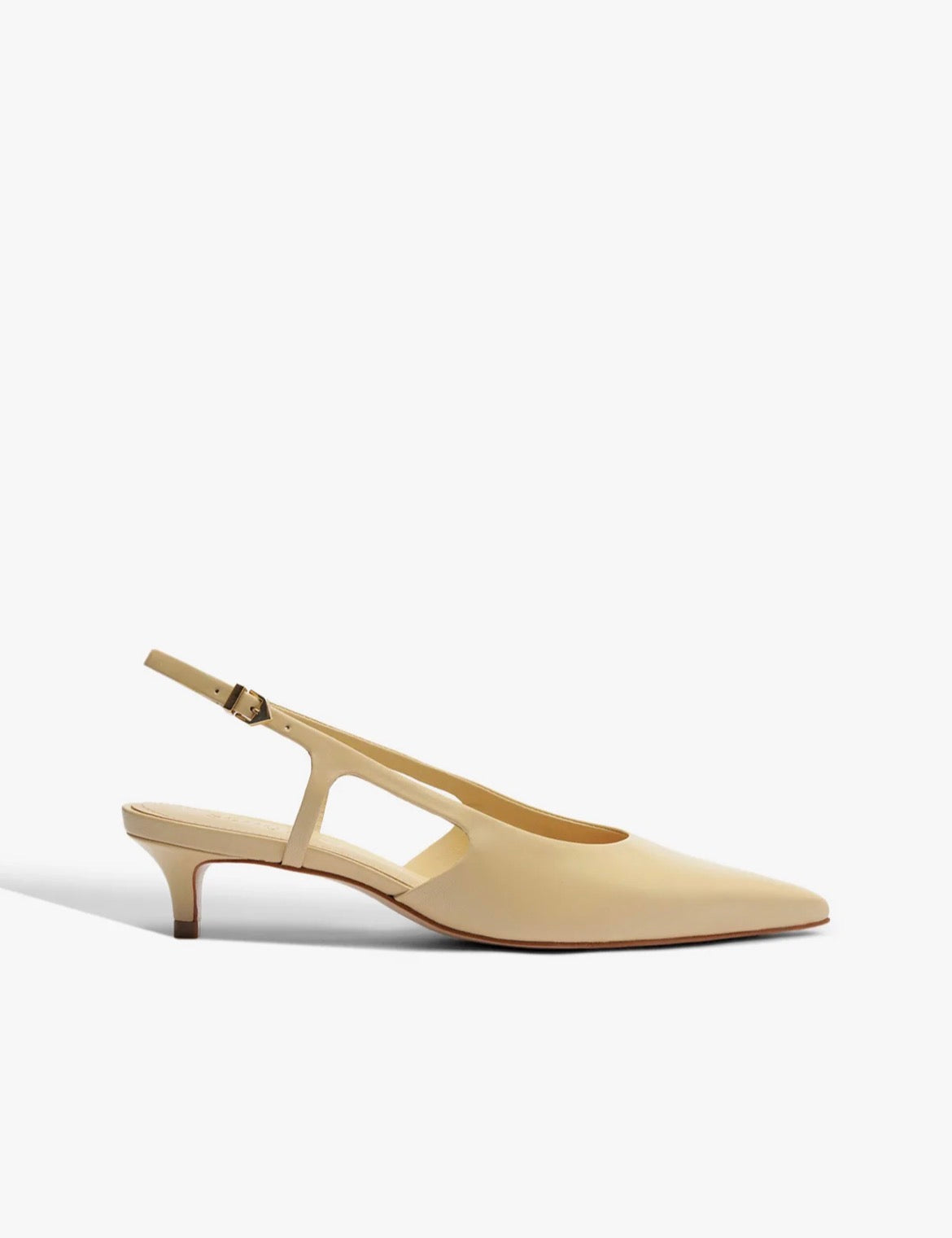 Schutz 36