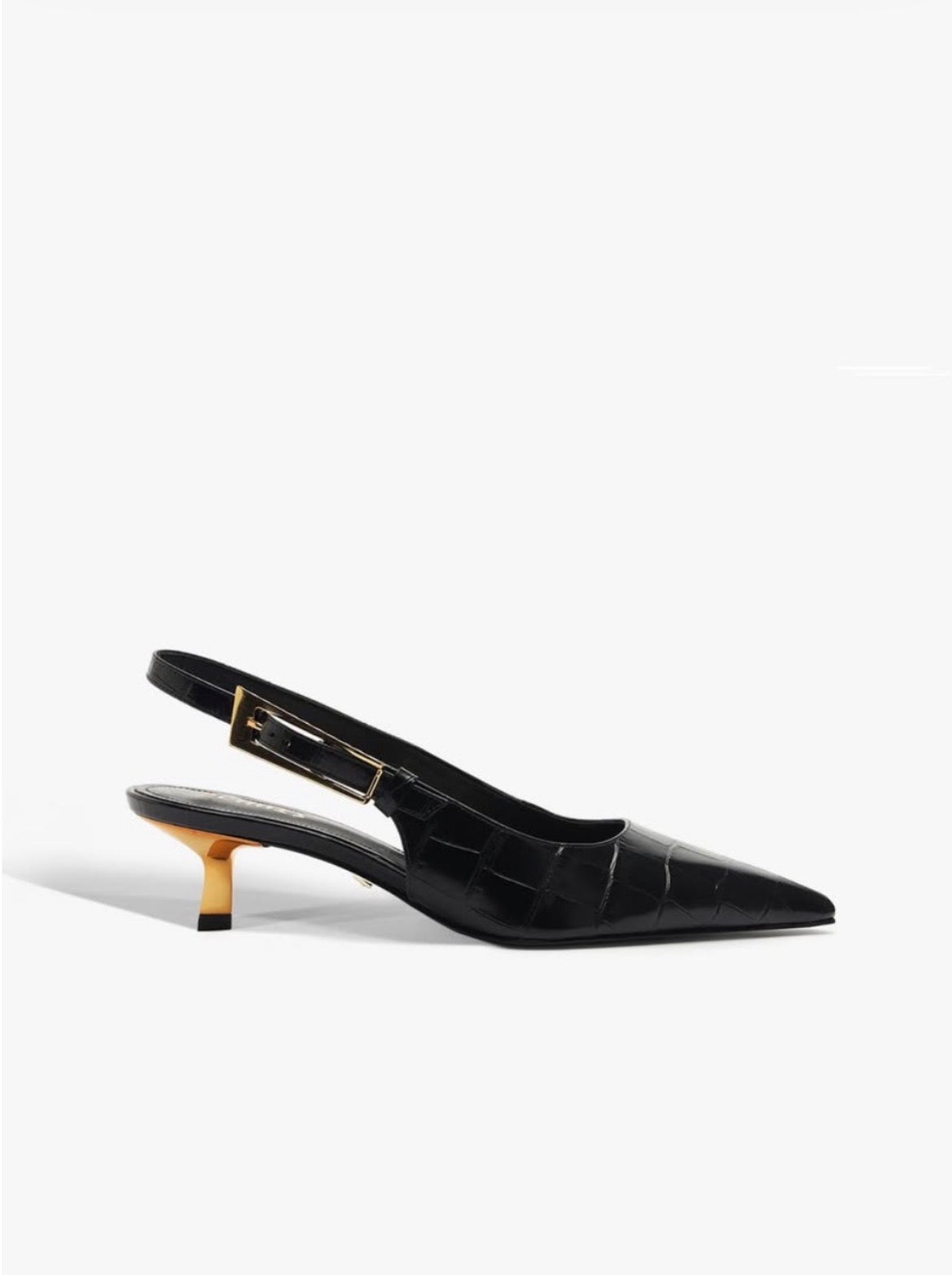 Schutz 40